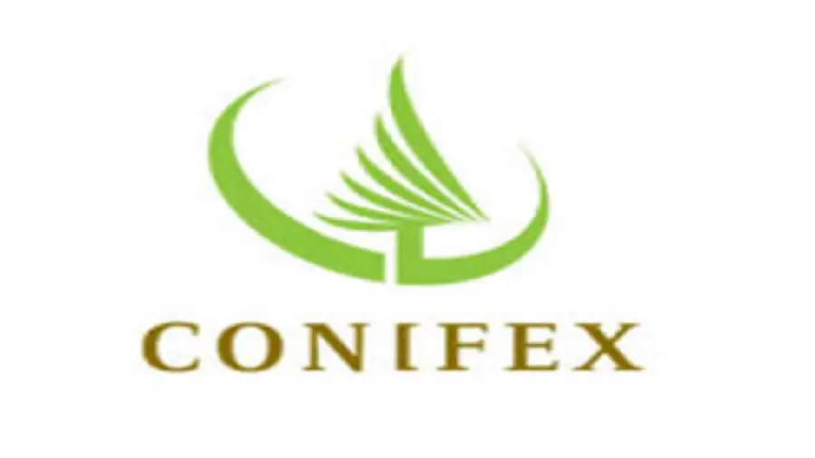 Conifex Timber подала в суд на энергетическую компанию BC Hydro из-за воспрепятствования майнингу