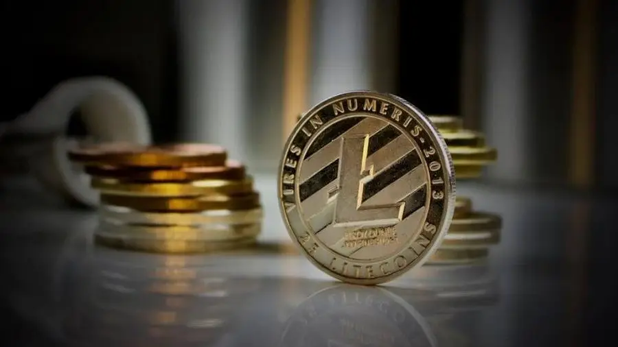Более половины LTC лежат на кошельках без движения более года Более половины LTC лежат на кошельках без движения более года
