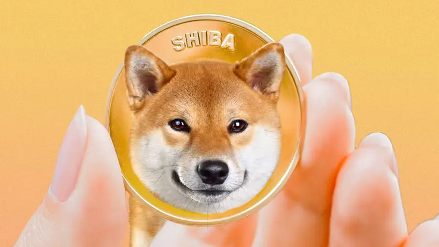 Реклама Shiba Inu украсила улицы Милана во время Недели моды