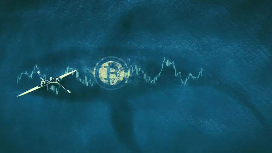 Крупные криптоинвесторы перевели $743 млн в BTC и ETH за три транзакции Крупные криптоинвесторы перевели $743 млн в BTC и ETH за три транзакции