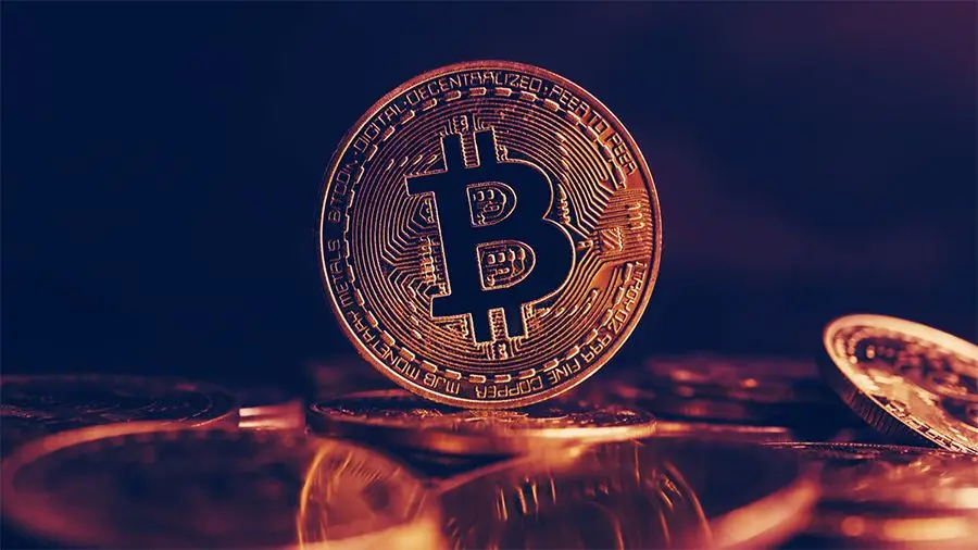 Ransomwhere: в 2021 году хакеры получили выкупы более чем на $33 млн в BTC Ransomwhere: в 2021 году хакеры получили выкупы более чем на $33 млн в BTC