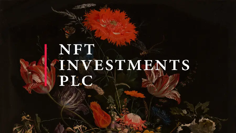 Хакеры украли у NFT Investments активы на сумму $250 000  Хакеры украли у NFT Investments активы на сумму $250 000
