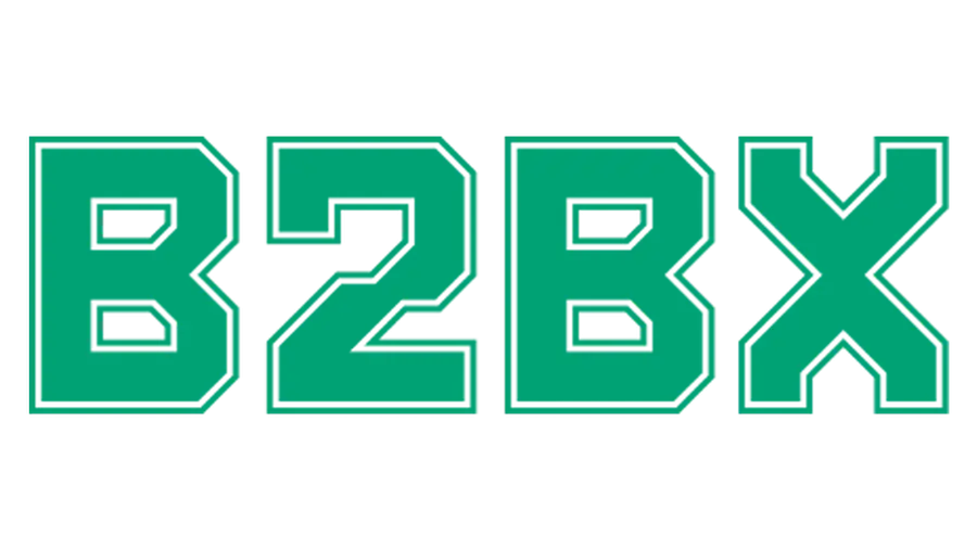Проект B2BX провел аудит ценности своего токена
