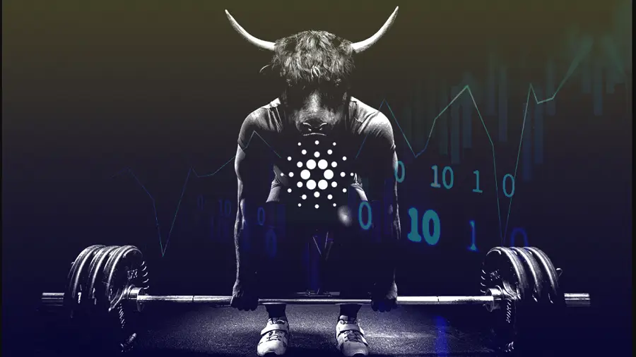 Хардфорк Cardano Alonzo Purple с поддержкой смарт-контрактов запланирован на начало сентября