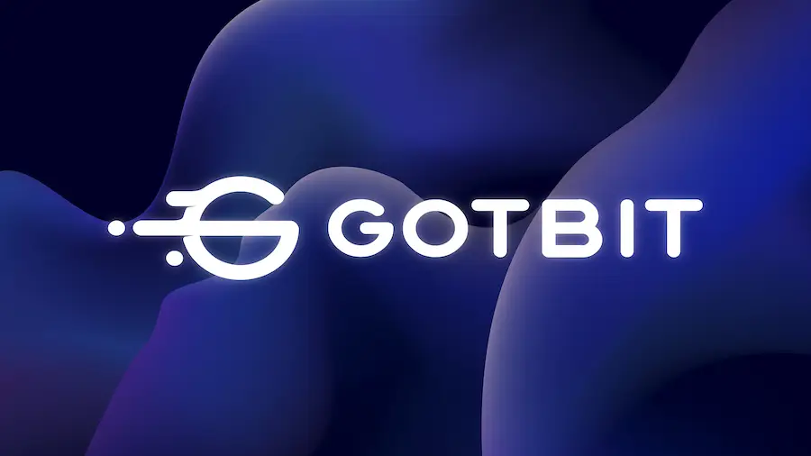 The founder of the Russian market maker Gotbit was able to avoid prison in the USA