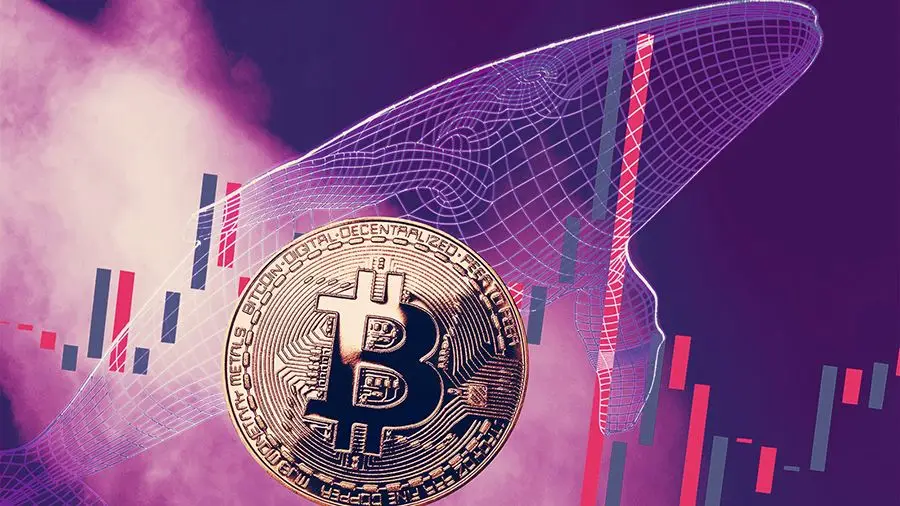 Glassnode: BTC равномерно распределены между «китами» и розничными инвесторами