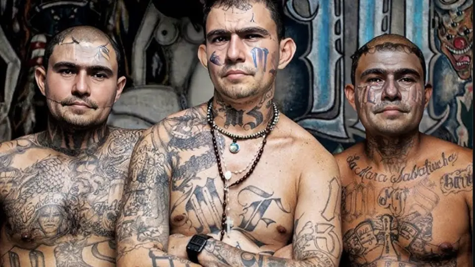 Полиция Бразилии заподозрила криптобанк 4TBank в связях с наркомафией Полиция Бразилии заподозрила криптобанк 4TBank в связях с наркомафией