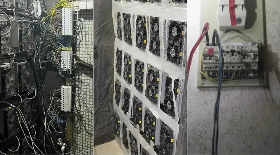 В Воронеже инженер организовал сеть нелегальных ферм для майнинга