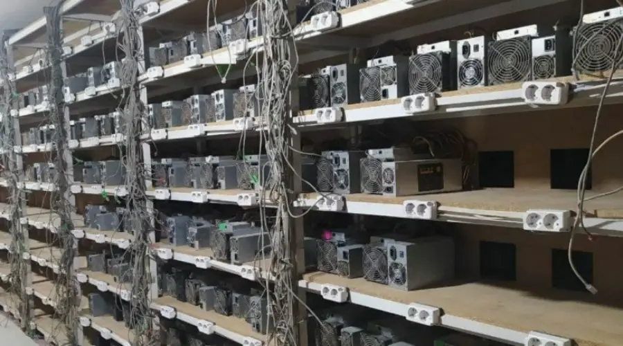 В России обнаружили нелегальную майнинг-ферму на сельхозпредприятии