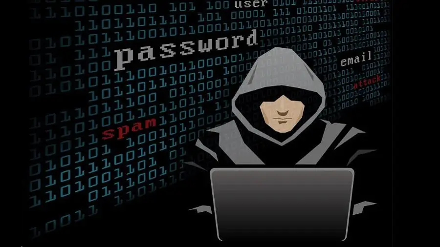 Покупатели NFT Monkey Kingdom потеряли SOL на $1.3 млн в результате фишинговой атаки
