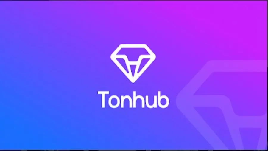 Tonhub представил дебетовую криптокарту Visa для Евросоюза 