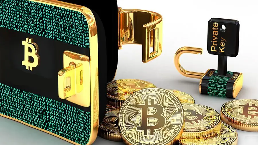 Компания Джека Дорси запустит аппаратный кошелек со сканером отпечатка пальца Компания Джека Дорси запустит аппаратный кошелек со сканером отпечатка пальца