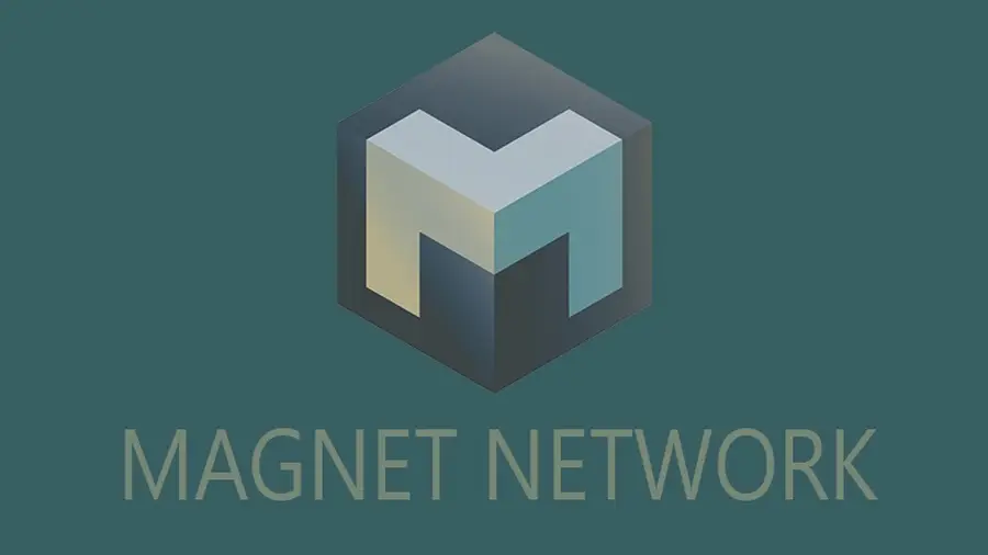 Magnet