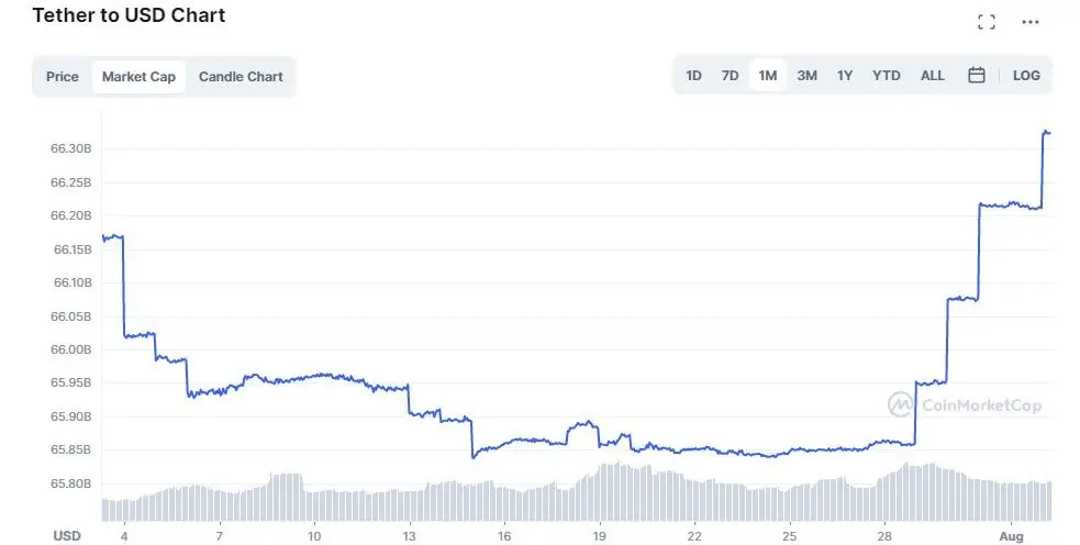 020822_USDT_market_cap.jpg