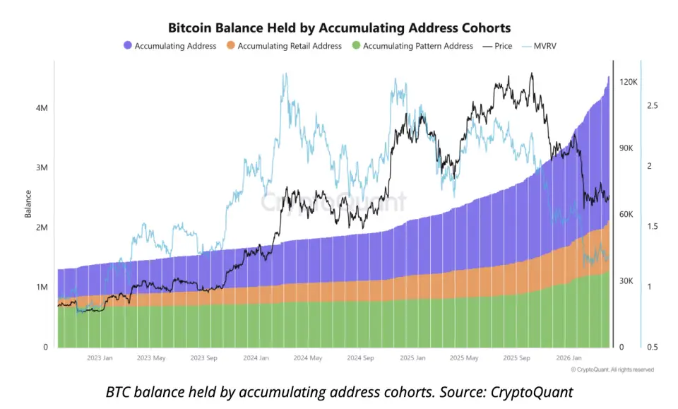 Снимок экрана 2026-04-08 в 13.13.00.png