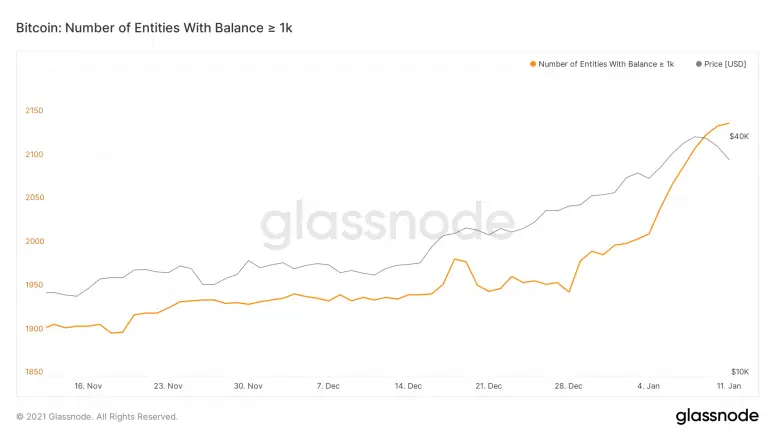 btc whales glass.png
