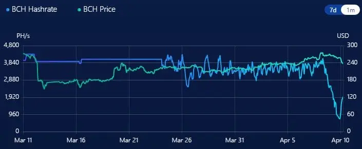100420_bch_hashrate.jpg