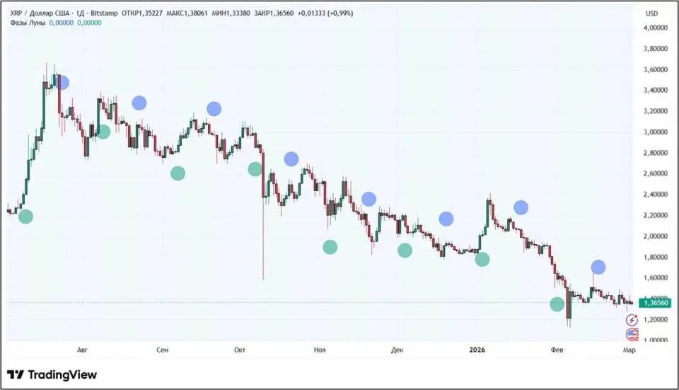 0203202602.jpg 0203202602.jpg