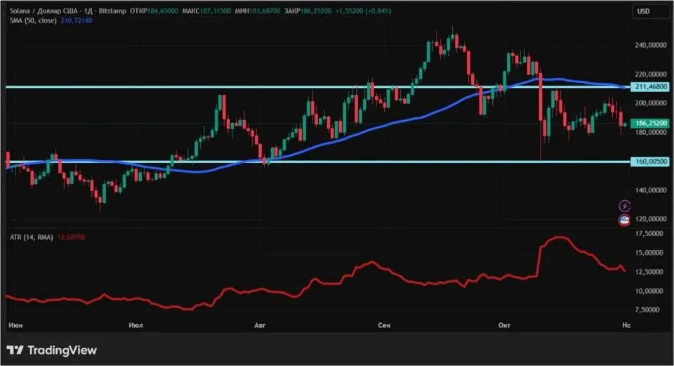 311025011.jpg 311025011.jpg