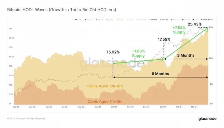 hodl glassnode.png