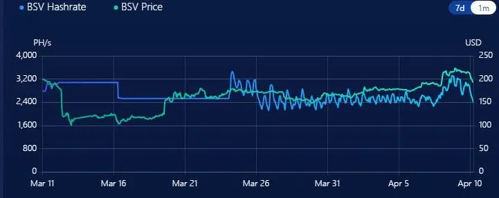100420_bsv_hashrate.jpg