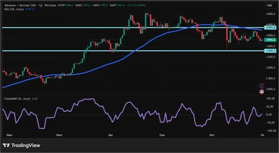 31102507.jpg 31102507.jpg