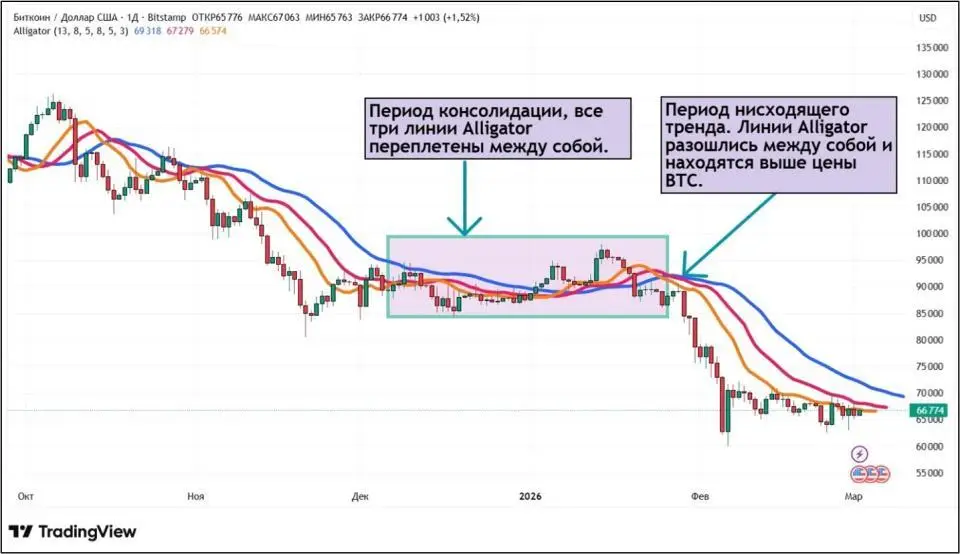 0203202605.jpg 0203202605.jpg