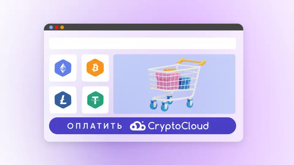Криптопроцессинг CryptoCloud: новый способ приема платежей в криптовалюте