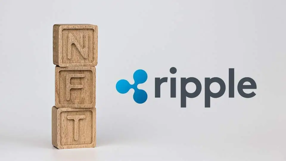 RippleX запустит платформу для разработчиков NFT