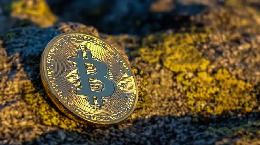 Биткоин вырос — как повели себя акции криптокомпаний: новый обзор рынка