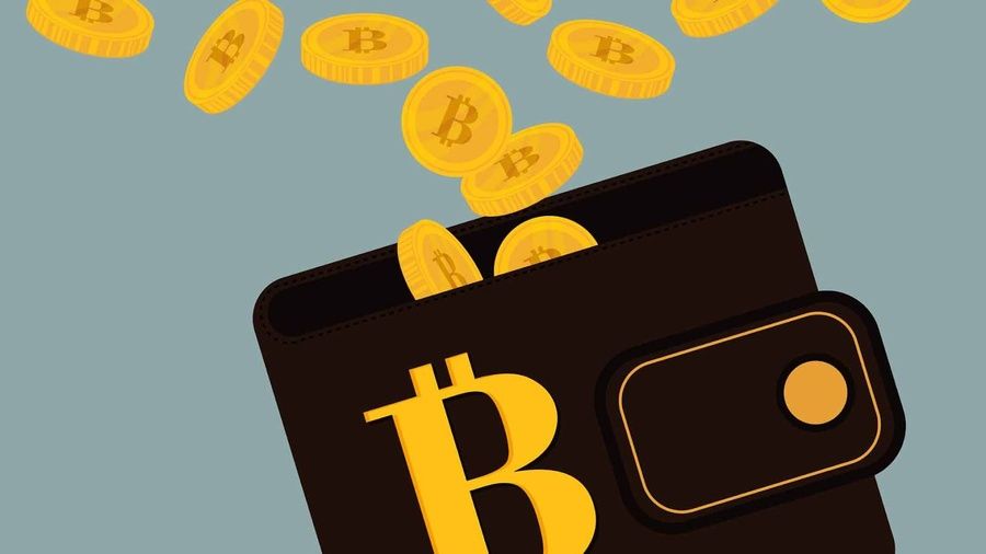 Bitcoin кошельки с балансом бесплатно обмен валют 24 рядом