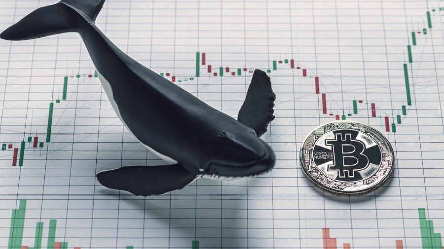 CryptoQuant: «“киты” нарастили продажи биткоинов»