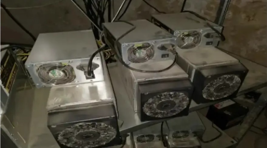 Illegal mining farm was eliminated in St. Petersburg