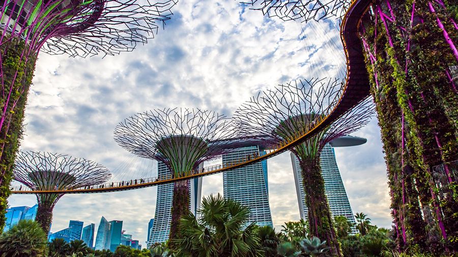 Сингапур отменит налог на товары и услуги для криптовалют
