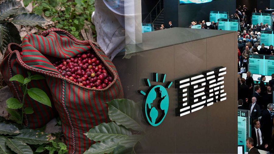 IBM и Farmer Connect запустят приложение на блокчейне для отслеживания поставок кофе