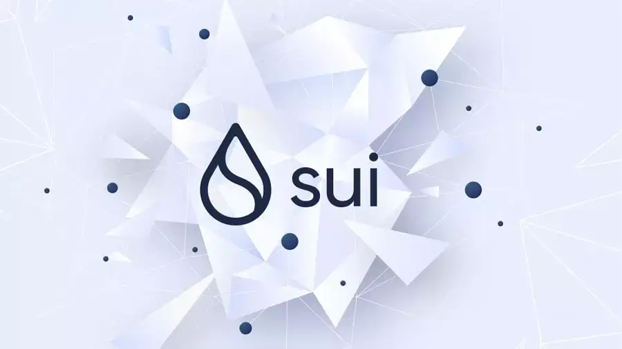 Sui Network прекращала работу на шесть часов