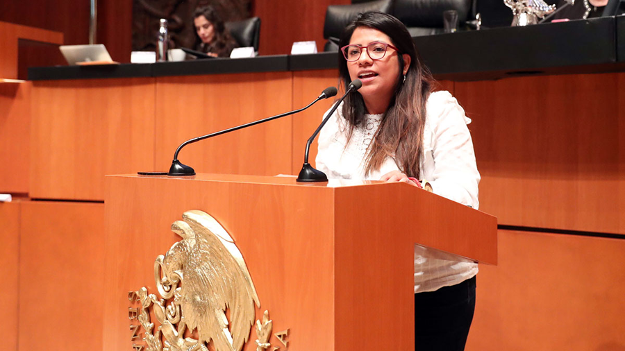 Мексиканская конгрессвумен предложила легализовать биткоин в стране