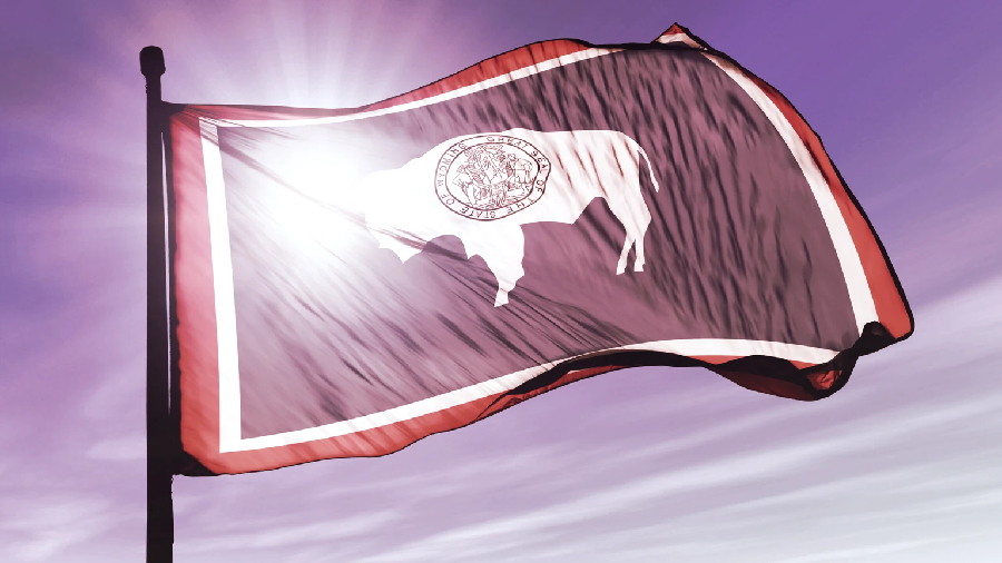 Wyoming launches the state stabilcoin FRNT on seven blocks