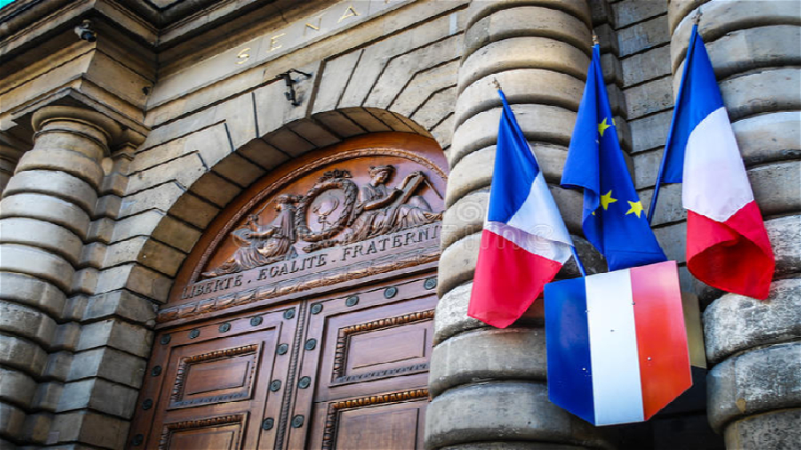 Сенат Франции может разрешить местным знаменитостям рекламировать лицензированные криптокомпании