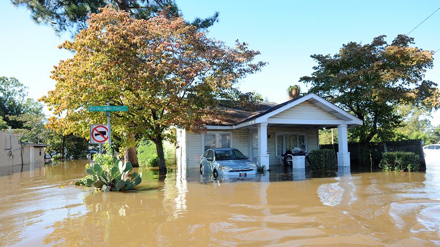 FEMA планирует использовать блокчейн для выплат компенсаций жертвам стихийных бедствий