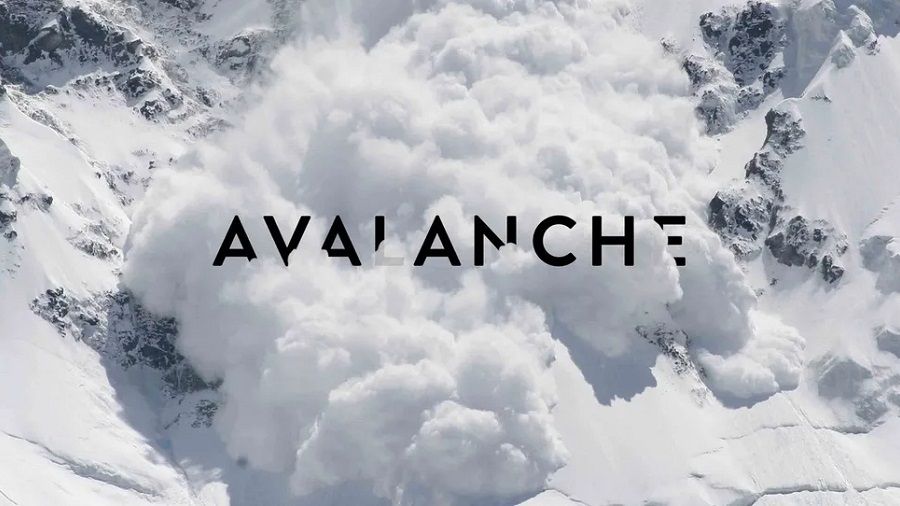 В сетях Avalanche C и X произошел массовый сбой