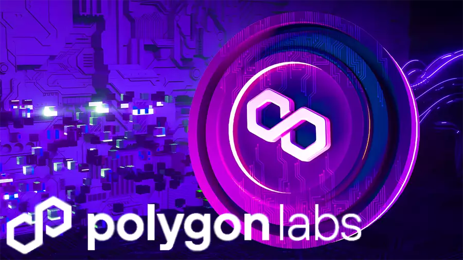 Polygon Labs сократила 19% сотрудников