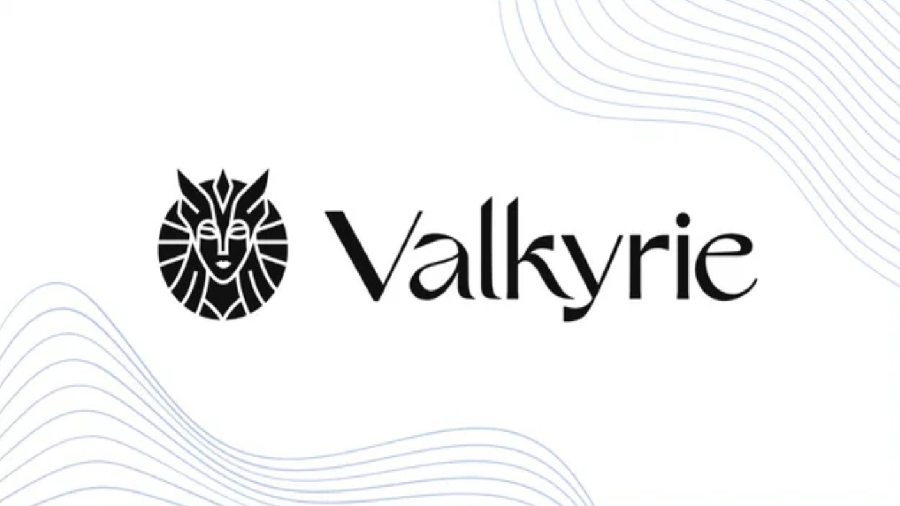 valkyrie_investments_zapustila_trast_na_baze_blokcheyna_avalanche.png