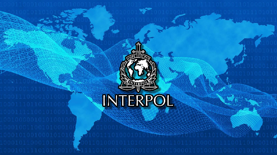 interpol_planiruet_rassledovat_prestupleniya_v_metavselennoy.png