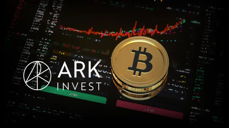 v_ark_invest_opublikovali_prognoz_o_kurse_bitkoina_k_2030_godu_.png