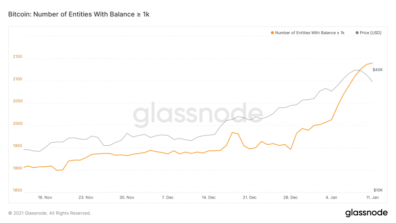 btc whales glass.png