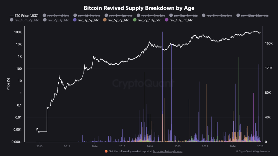 Терпение или реакция: «Diamond hands» и «Paper hands» на крипторынке