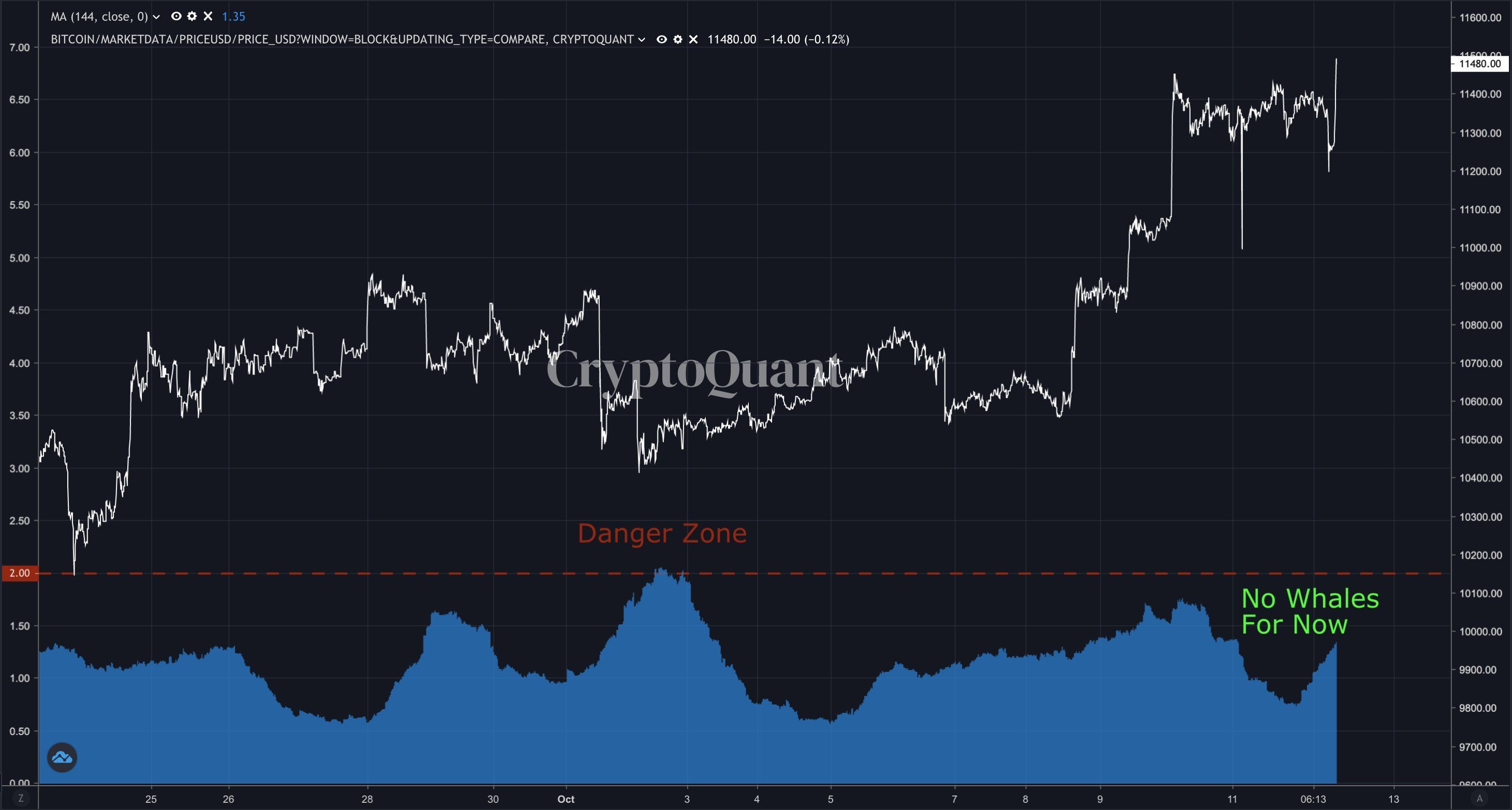 CEO CryptoQuant: «биткоин продолжит расти, так как "киты" не спешат продавать резервы»