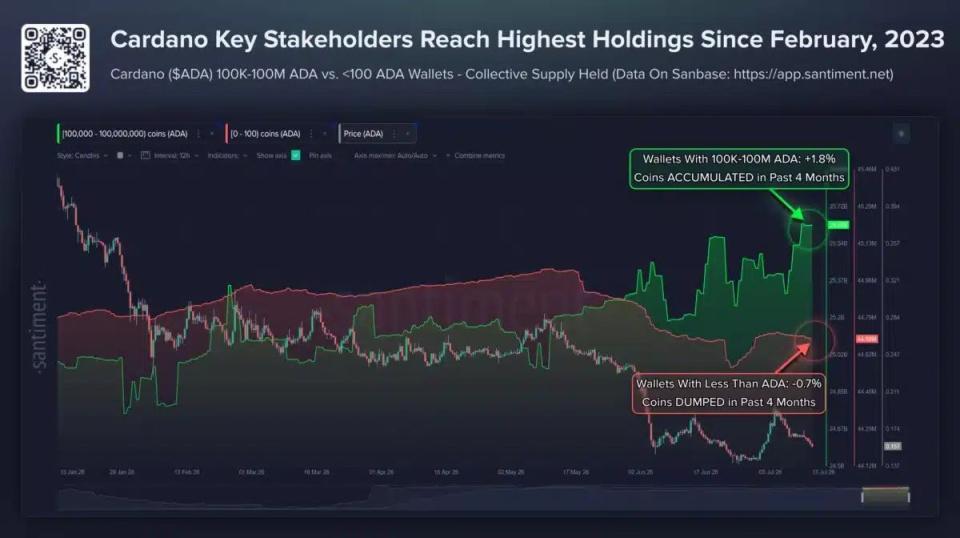 6666.jpg