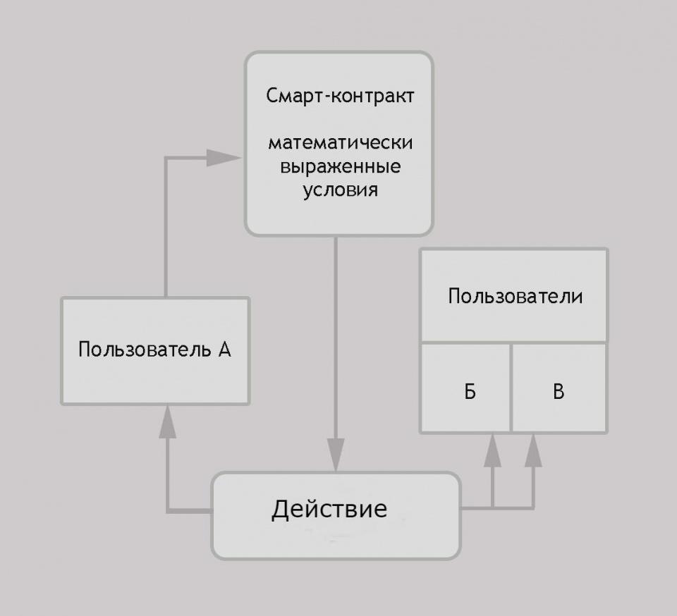 Профессия блокчейн-разработчика: тренды и перспективы - Bits Media